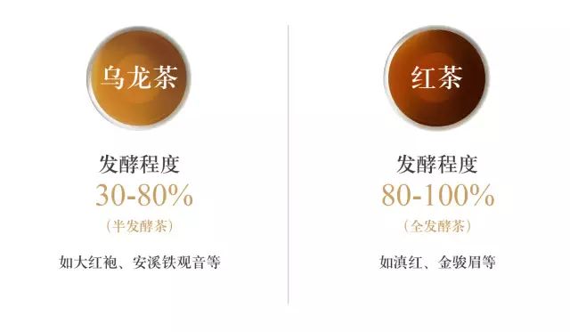 还原大红袍的真相，让喝茶变得简单。