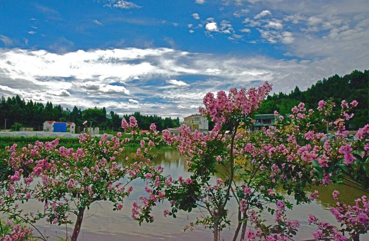 涔愯嚦鑽疯姳鎽勫奖浣滃搧娆ｈ祻,涔愯嚦鍗拌薄鎽勫奖