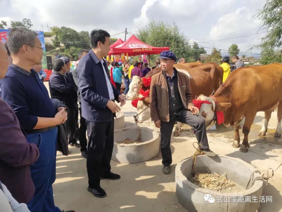 滩歌镇2020年中国农民丰收节暨消费扶贫月启动