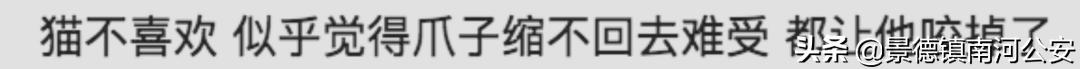 “割声带、截肢、电击,当爱变成我的噩梦”