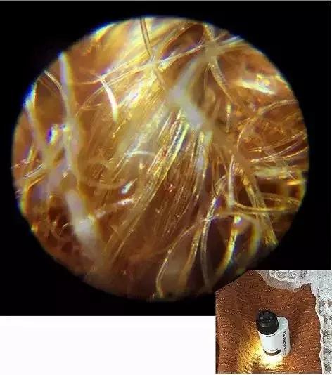 儿童显微镜下的微观世界,便携式儿童显微镜萌趣多