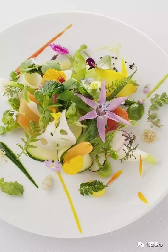 可以食用的花可制作的美食,100种可食用花的做法