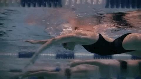 自学游泳怎样让自己游得更专业,游泳爱好者如何成为高手