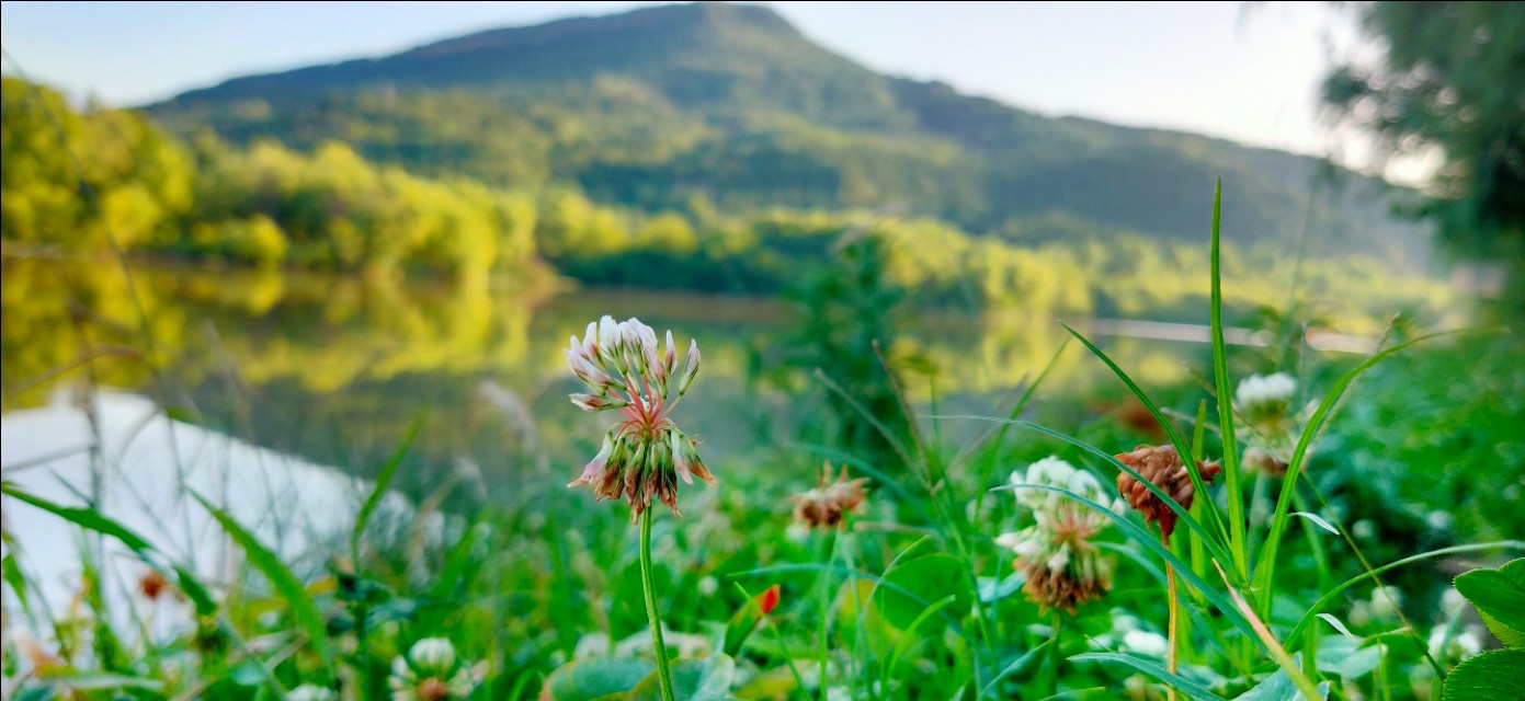 广元人眼中的陕西,参观广元千佛崖后的感受