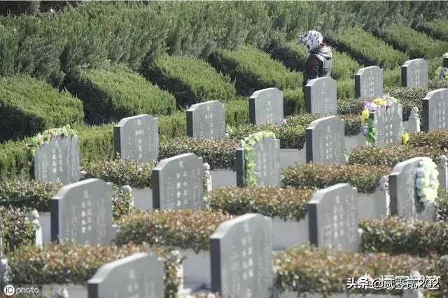 公墓多年没交钱怎么处理,公墓到期没有家人续费会怎样处理