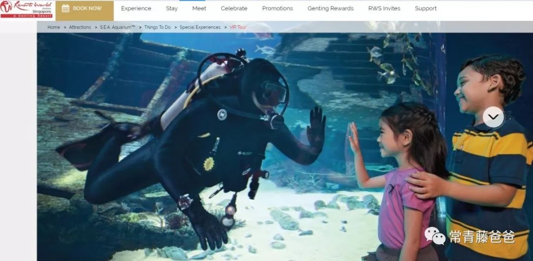 十一新加坡,新加坡5天4晚亲子游推荐哪家