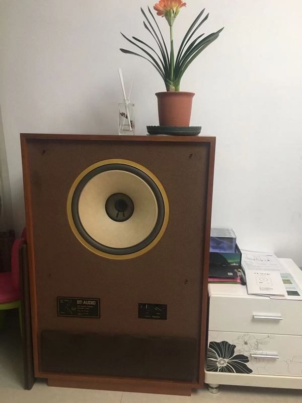 15瓦的功放能推多大的喇叭,15瓦胆机可以推多大音箱