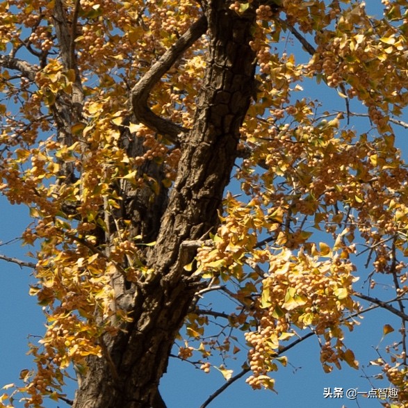 松下16-35f4,松下16-35f4和20-60镜头对比