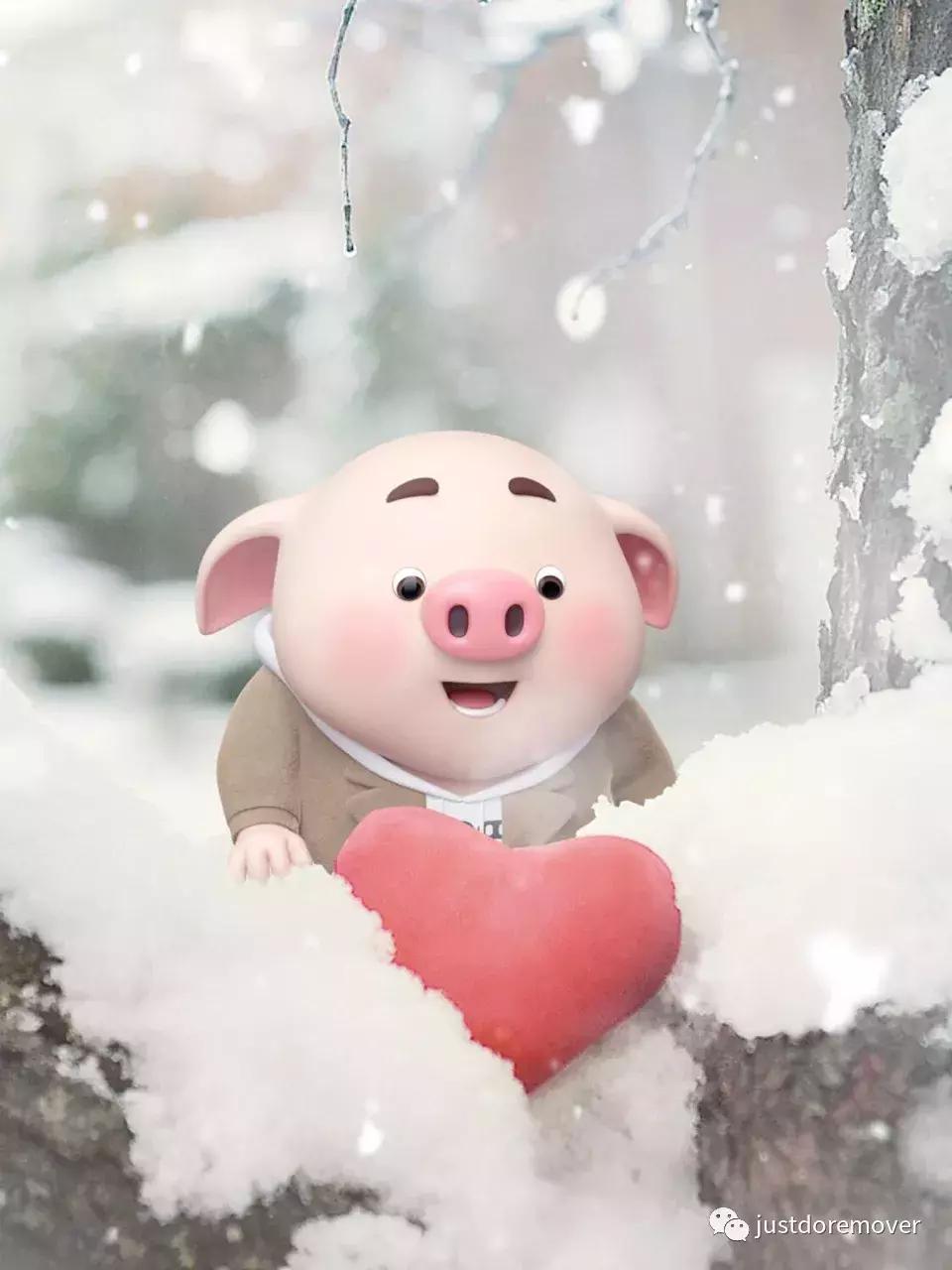 2019年我是最旺最红的猪！gruntgruntgrunt