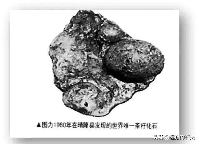 十大名茶贵州哪个茶上榜,贵州好喝的茶叶有哪些