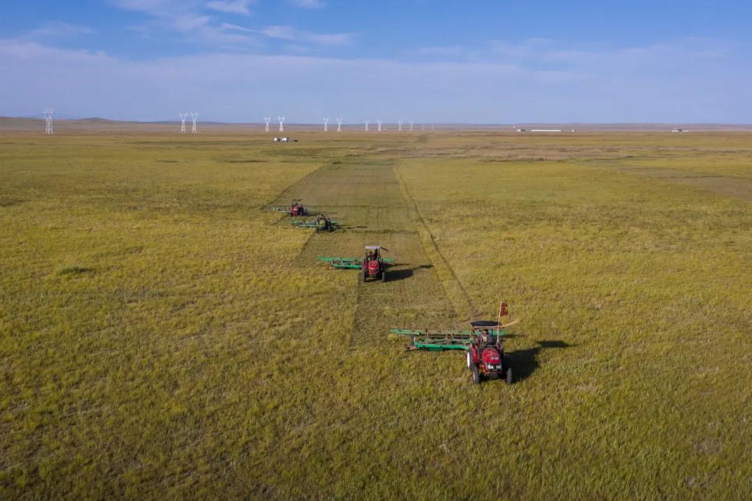 锡林浩特自然景观,锡林浩特市发展战略