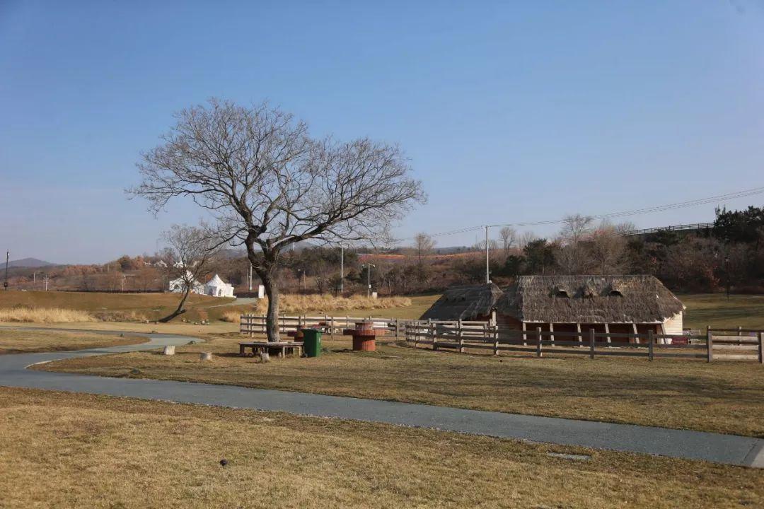 体验+创新+成长首届三寰牧场冬季大集开启