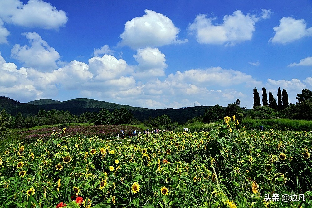 航拍一个村寨,航拍最美山谷风景