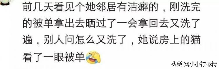 身边有个洁癖的朋友什么体验？刚洗过的床单被猫看了一眼必须重洗