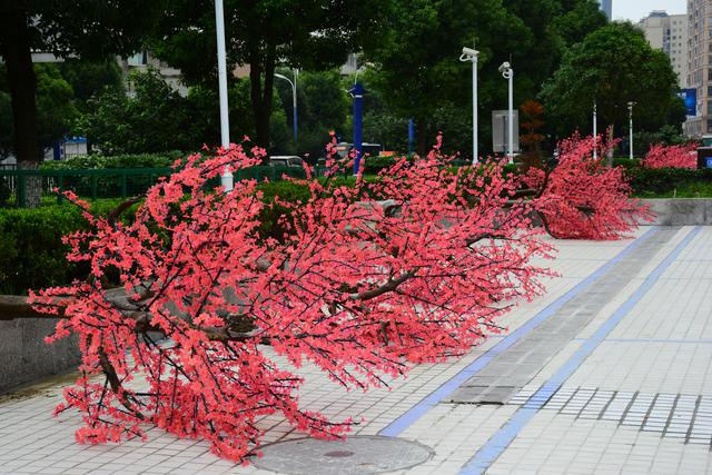 贵州安顺豪车街拍,看看贵阳安顺的风光