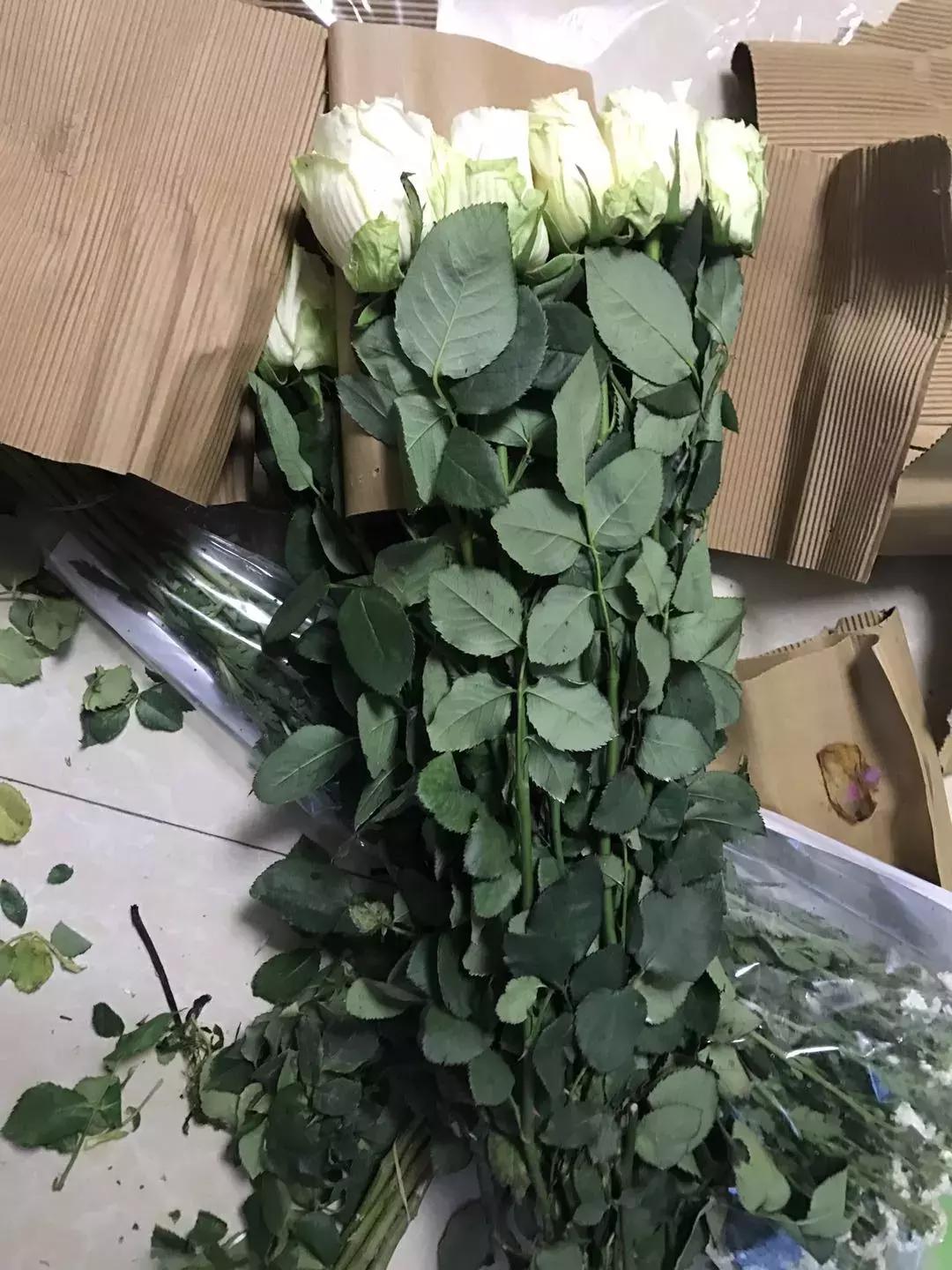 玫瑰鲜花养护方法和时间,玫瑰花束怎么养护延长花期呢