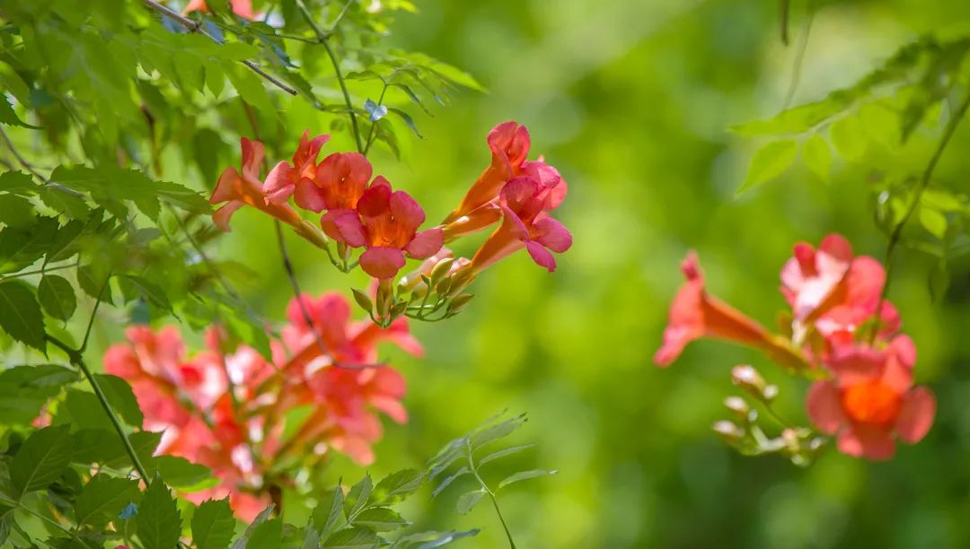 在济南花式避暑,一见“清”心!只需一瞥,便足以把酷夏原谅…