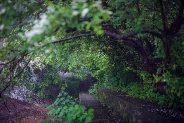 眺云海秘境、西子春晓，每一家都是旅行艺术，带你躺入春天~