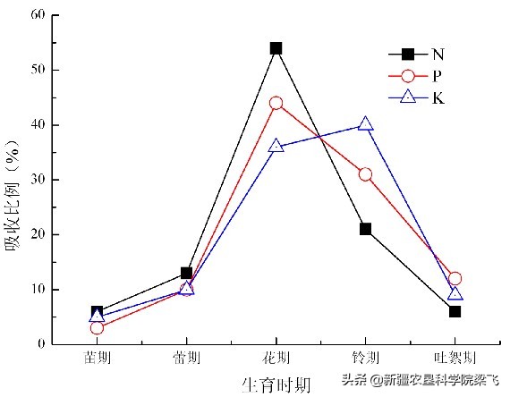 棉花滴灌肥料的正确使用方法,棉花磷酸二氢钾滴灌使用方法