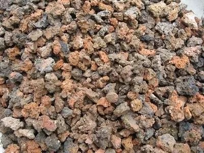 多肉变废为宝方法,废物利用养多肉