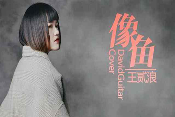 茶余饭后休闲欢快的歌,茶余饭后休闲用的背景音乐