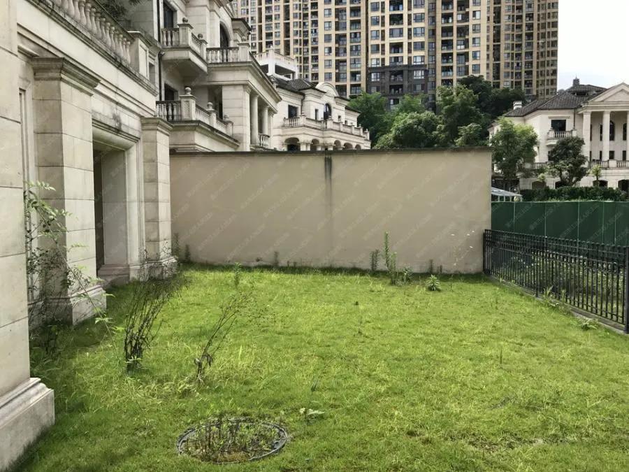 照母山优质别墅,照母山上的别墅