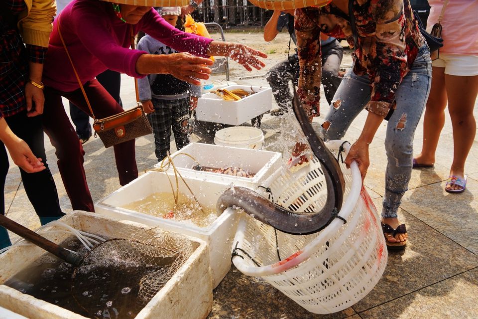 海南租车别克7座每天价格,海南自驾租车最便宜