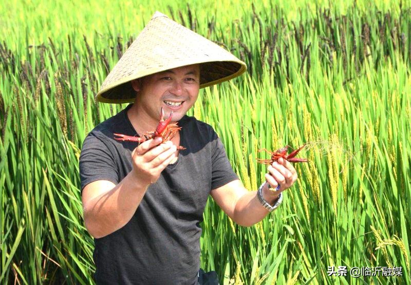 临沂农民致富,农妇带领村民走上致富之路