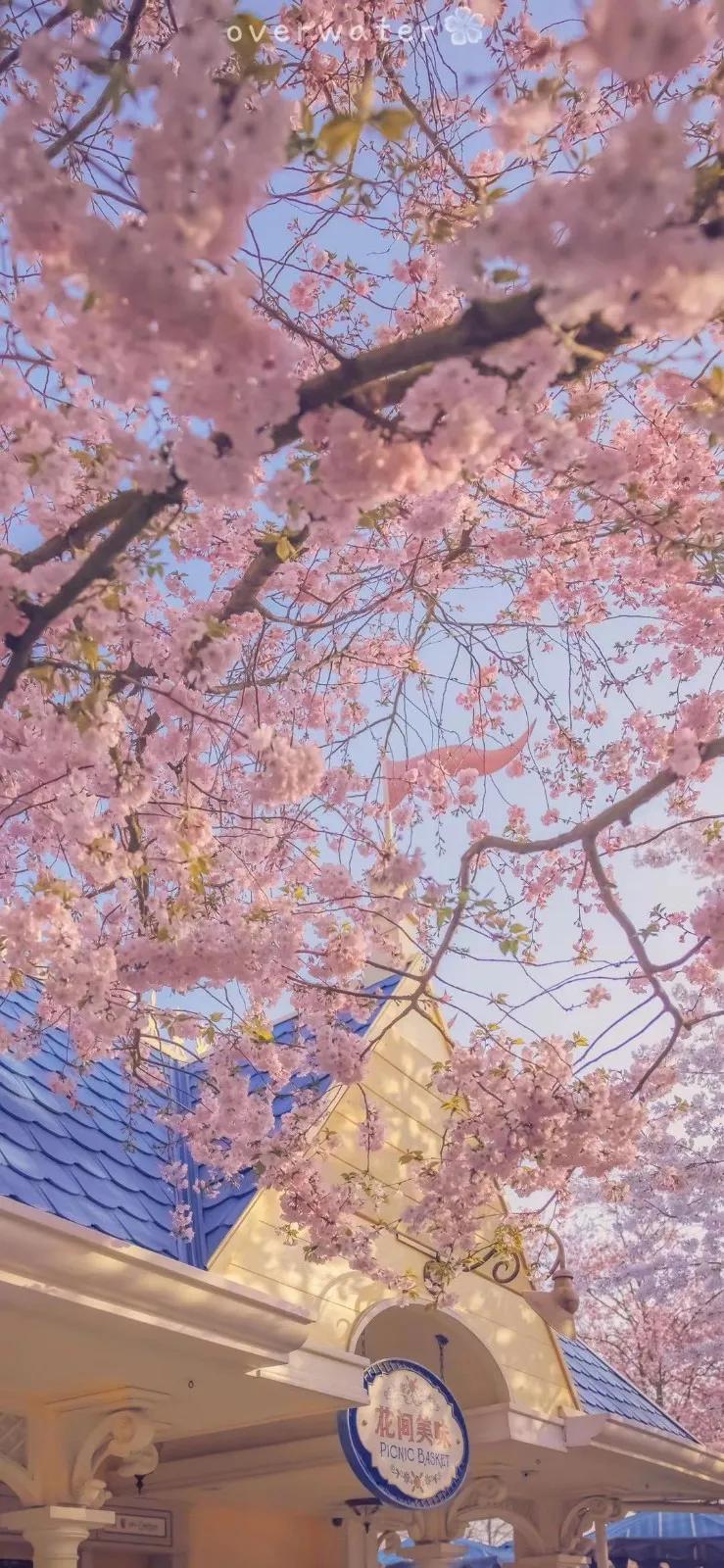 手机壁纸图案大全漂亮的,家和万事兴图片漂亮的手机壁纸