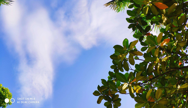 老款功能机拍照怎么操作,曾经拍照很厉害的功能机