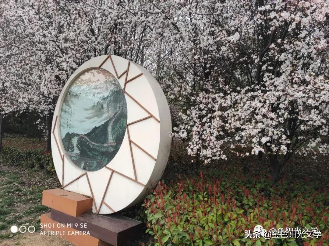 春天来了、春天的油菜花、我心中的春天、春诗