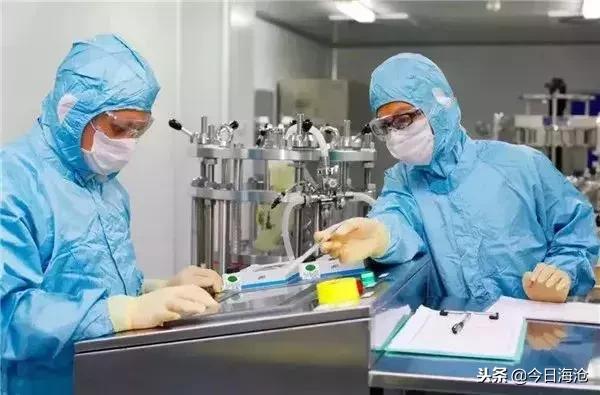 海沧发展机遇,海沧未来发展趋势