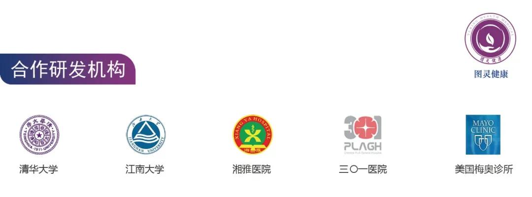 图灵公司简介,图灵公司介绍