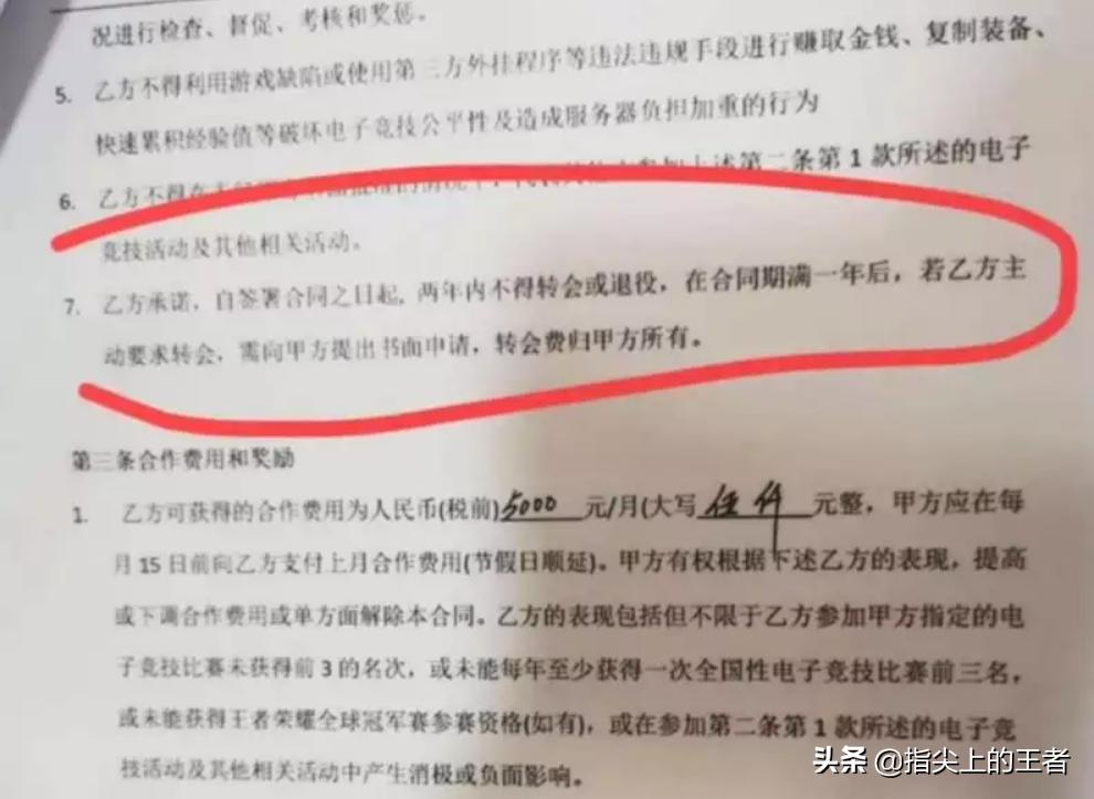 vv被揍后续,vv被打事件