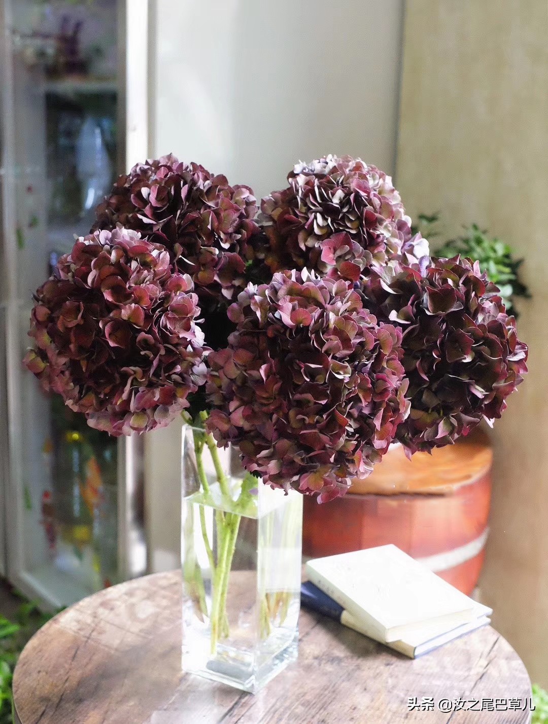 刚买回来的鲜花有点蔫怎么处理,刚买的鲜花就枯萎了是什么原因