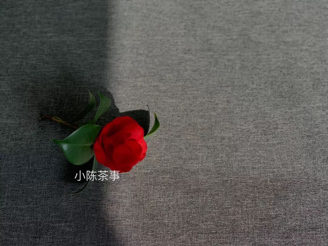 白茶基础工艺,白茶的种类和特点及冲泡方法