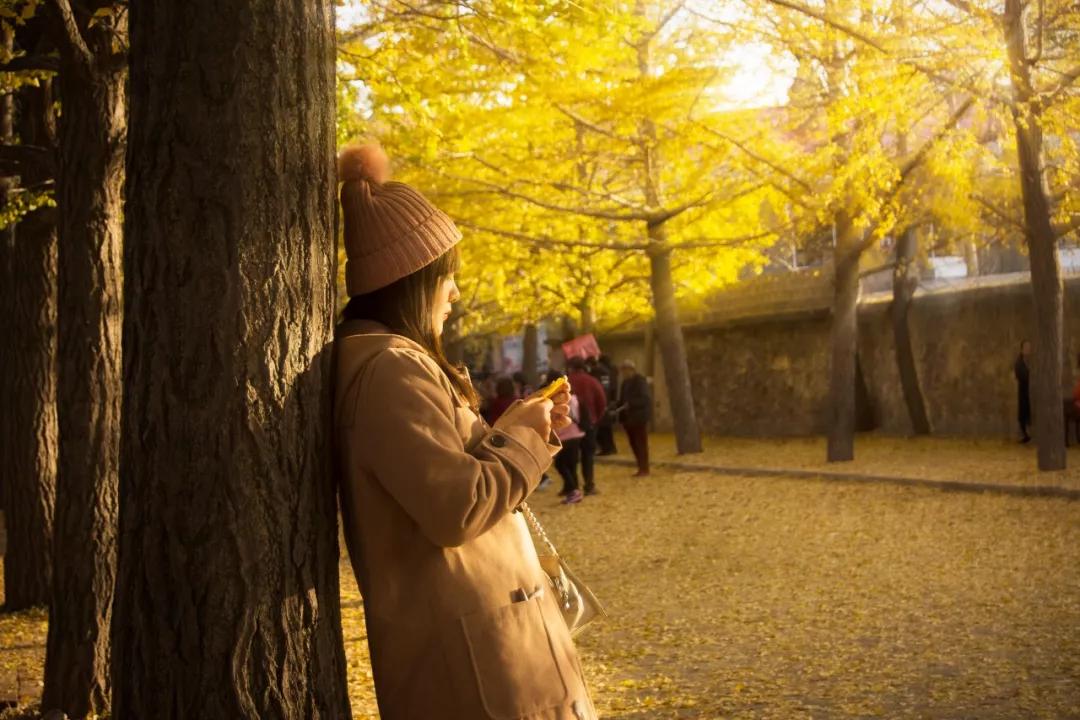 三亚和厦门哪一个更值得去旅游,三亚和厦门哪个更值得去旅游