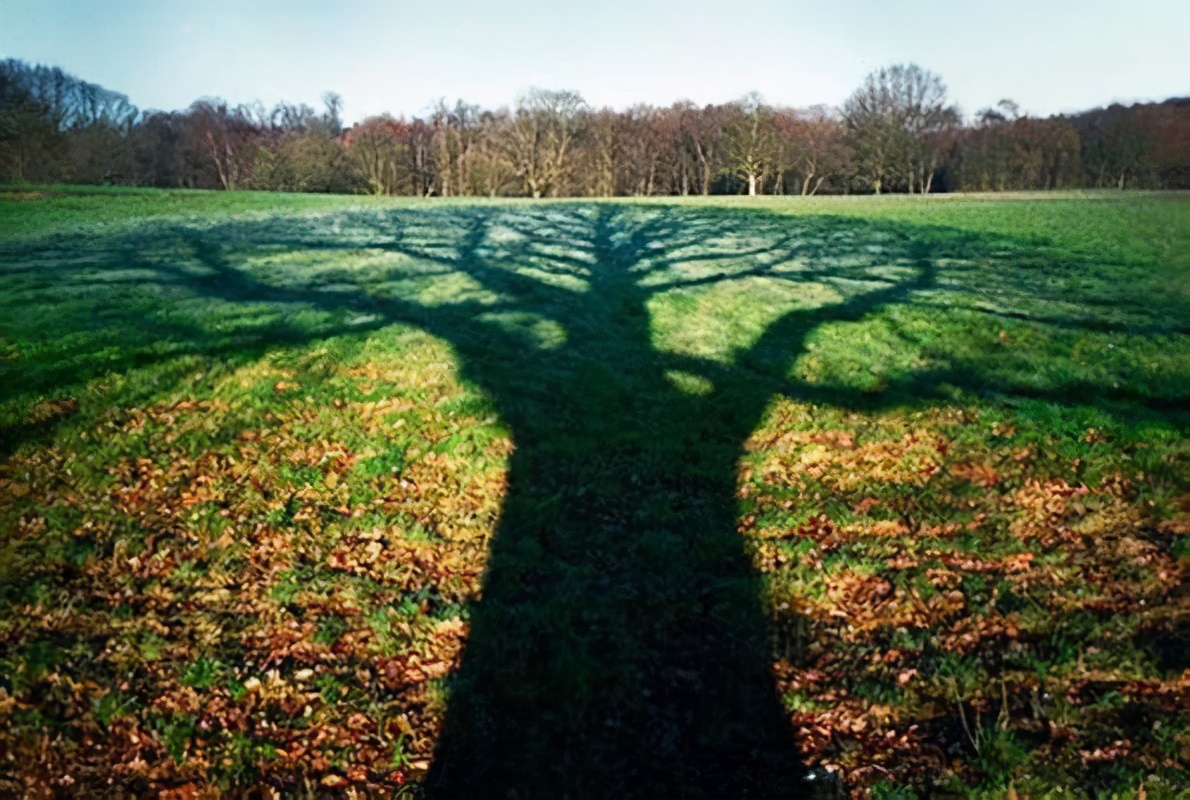 城府深不可测的人往往爱说三种话,有城府的人一般说话较谨慎