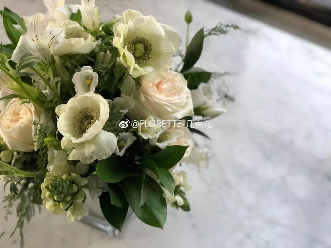 这家破厂房改造的花店,这是北京最美的小花店,明星都来拍照