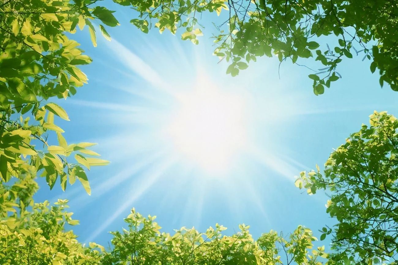 米斗：37岁离职的失与得