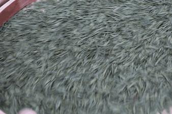 早上6点，去蒙顶山买茶是一种什么体验？