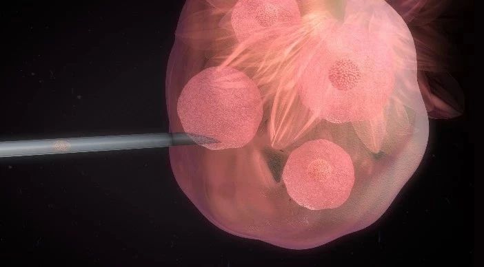 閫熺湅璧勮,閫熺湅citrus