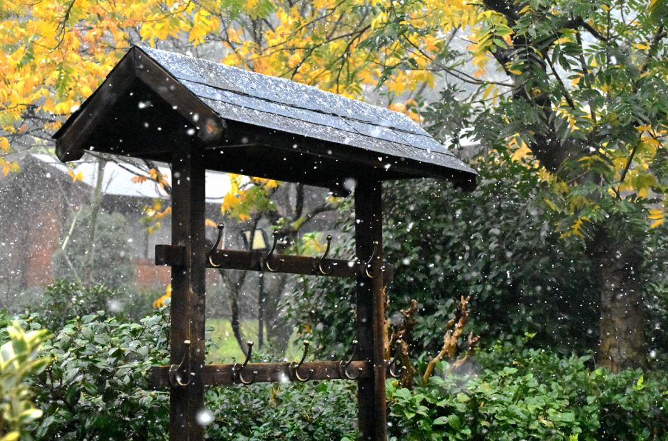 冬天九龙湖旅游攻略,冬天的九龙湖风景区图片