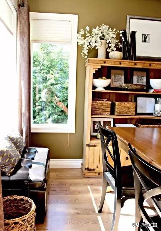 松木简介,松木原木介绍