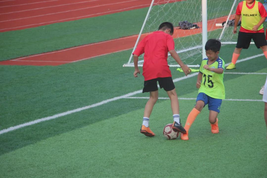 信阳维德青训基地,维德青少年培训