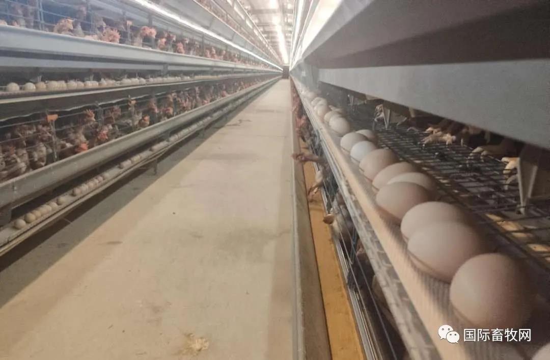 鍏虫敞椋熷搧瀹夊叏淇濋殰澶т紬鍋ュ悍,鍏虫敞椋熷搧瀹夊叏鍏虫敞鍋ュ悍鐢熸椿