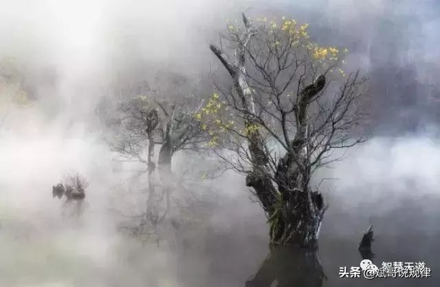 陈雄斌:做到这9点,你就能修炼成仙