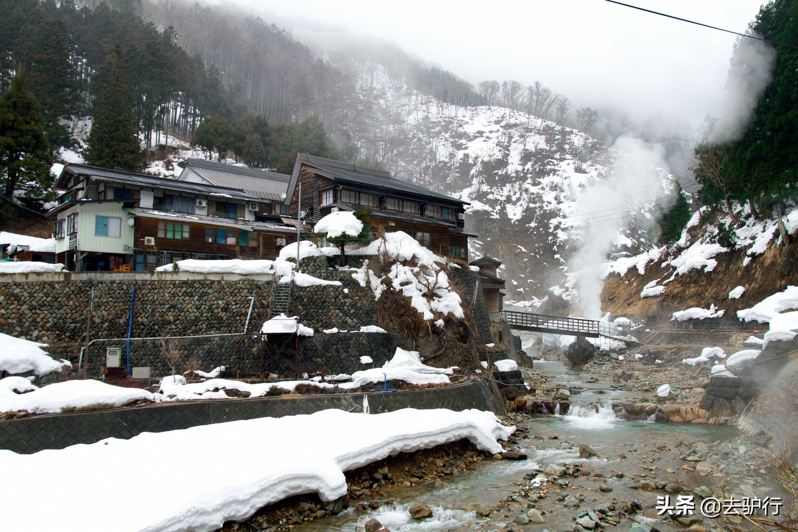 世界上最壮大的猴群,世界上最凶猛的猴群