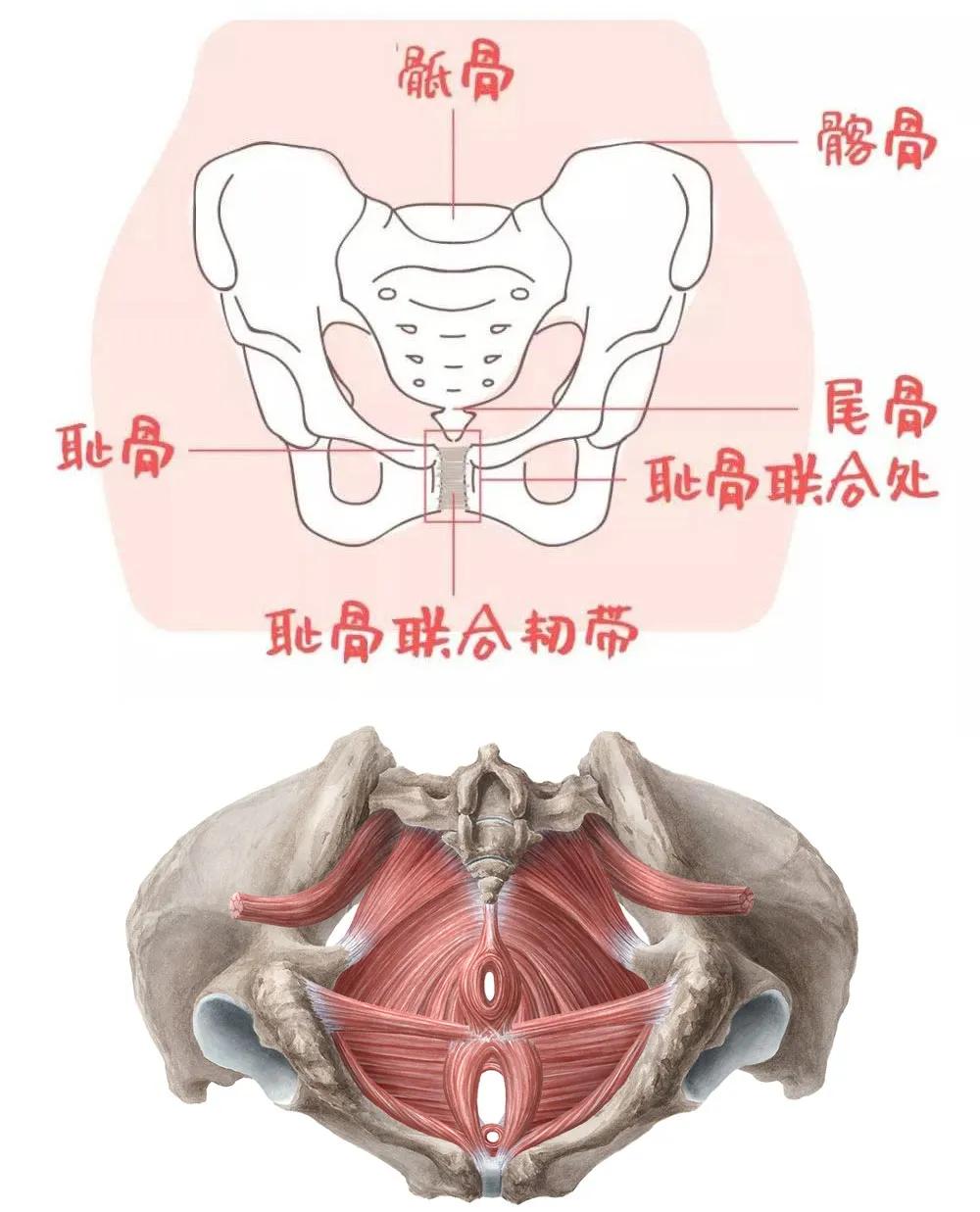 5天极速改善腿型,15天改善腿型的动作