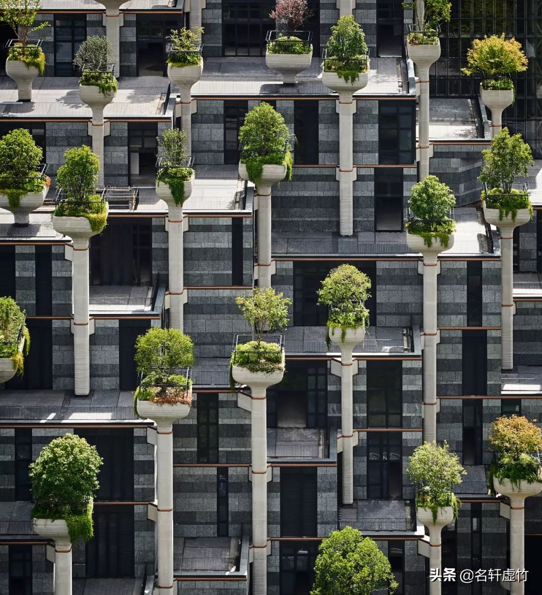 上海苏州河天安千树公园,天安千树苏州河畔空中花园